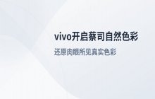 vivo手机蔡司色彩模式_开启自然色彩拍摄功能