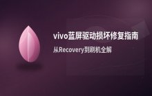 vivo手机出现蓝屏并提示底层驱动损坏时的解决方法