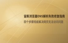 宙斯浏览器显示DNS解析失败的故障修复步骤