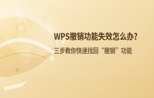 WPS软件撤销功能失效处理_解决撤销点击无反应问题的方案