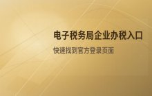 电子税务局企业办税系统入口，官网登录页面