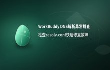 排查 WorkBuddy 安装时 DNS 解析异常 检查 resolv.conf 配置