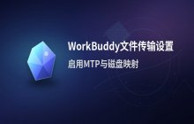 WorkBuddy远程桌面 文件传输设置_启用MTP与磁盘映射