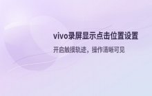 vivo手机录屏时显示屏幕点击位置的设置