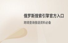 俄罗斯搜索网站入口直达 官方引擎访问地址说明
