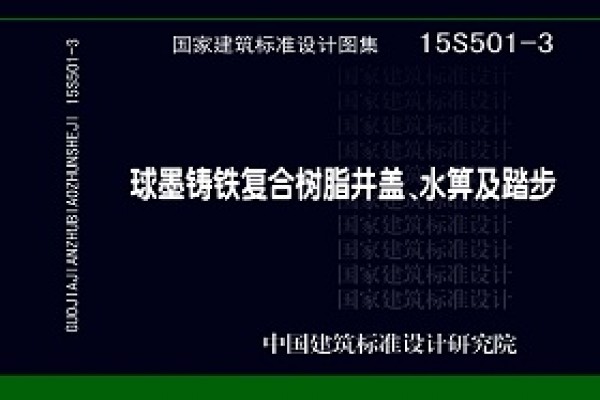 15S501-3球墨铸铁复合树脂井盖、水箅及踏步