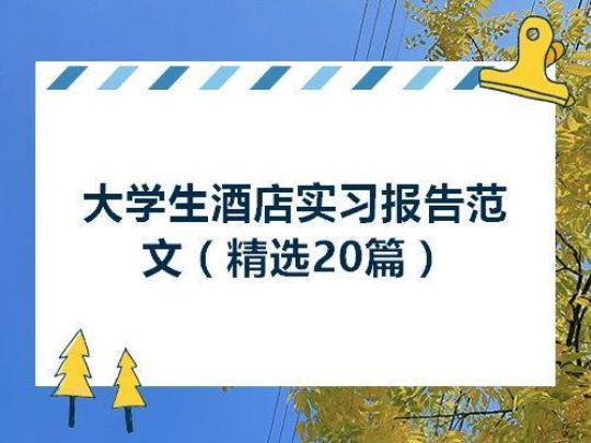 大学生毕业实习报告范文3000字左右