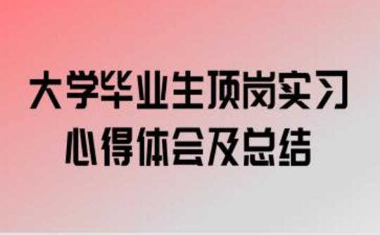 大学毕业生顶岗实习报告范文3000字