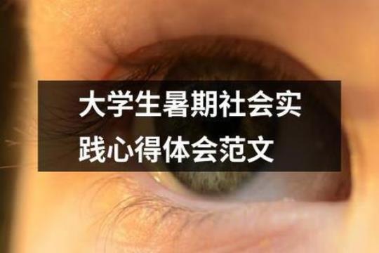 大学生社会实践心得体会500字（8篇）