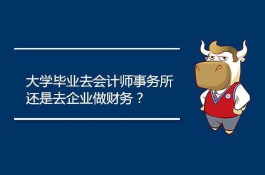 会计师事务实习报告集锦