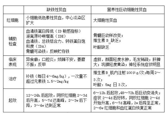 1.5--3-2巨幼细胞贫血生理学课件