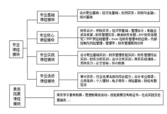 财务会计教育专业学生顶岗实习报告2022