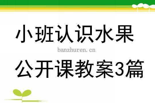 中小幼毛珠珠-天目双语《王戎不取道旁李》公开课教案教学设计课件