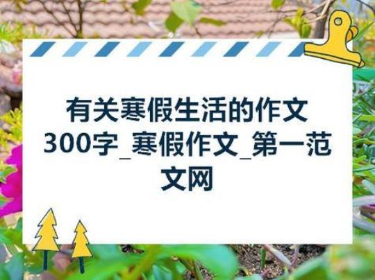 寒假保险公司实习报告1000字