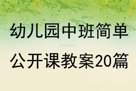 中小幼忙忙碌碌的夜晚公开课教案教学设计课件