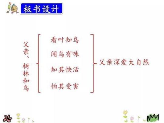 中小幼《父亲、树林和鸟》公开课教案教学设计课件