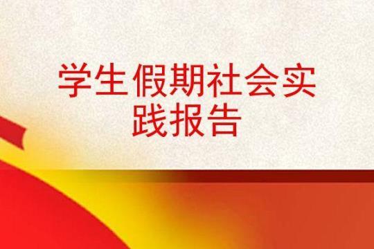 社会实践个人工作总结模板