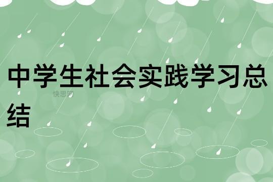 学生社会实践活动个人总结怎么写