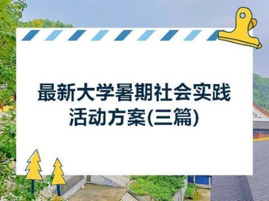 社会实践部工作总结1000字(通用11篇)