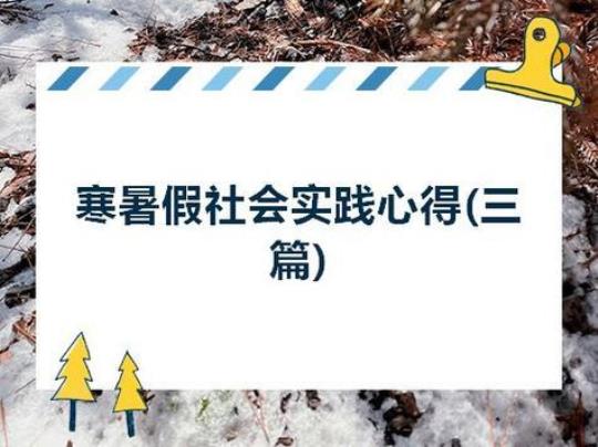 [荐]大学生的寒假社会实践个人总结1500字