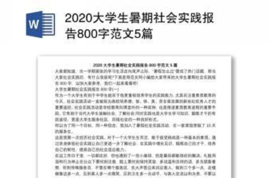 大学社会实践报告800字