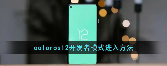 coloros12开发者模式进入方法