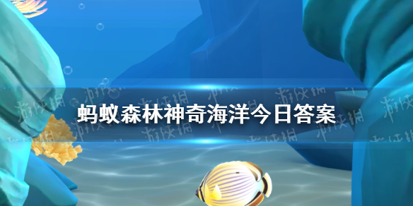 石珊瑚主要分布在热带和亚热带海域吗神奇海洋今日答案石珊瑚