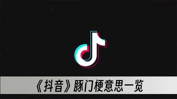 抖音豚门梗意思一览